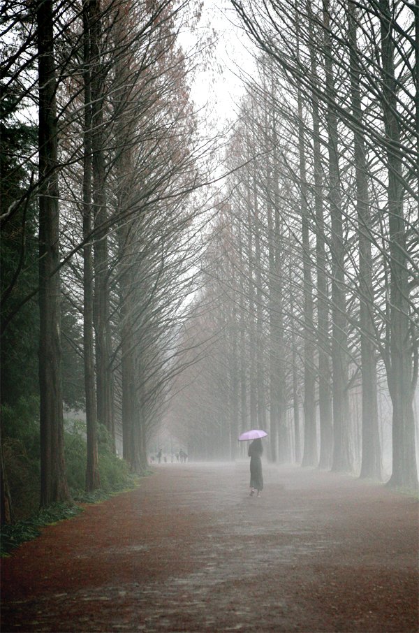 마음에 사랑이 있는 

사람은 걱정하지 않습니다. 

지금은 비록 외로워도 

가슴에 사랑이 가득함으로

곧 사랑을 받게 될 테니까요.
.
.