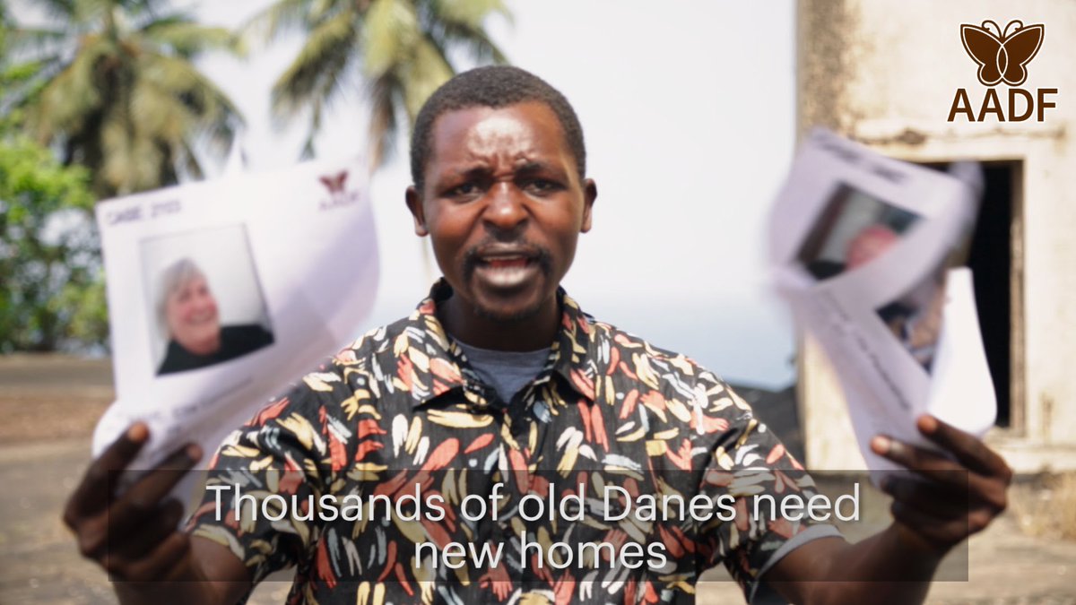 frasegala's tweet photo. A new campaign trying to change our perception about the African continent #AdoptADane https://t.co/88rmwamBoq https://t.co/hNEWX0zzPe