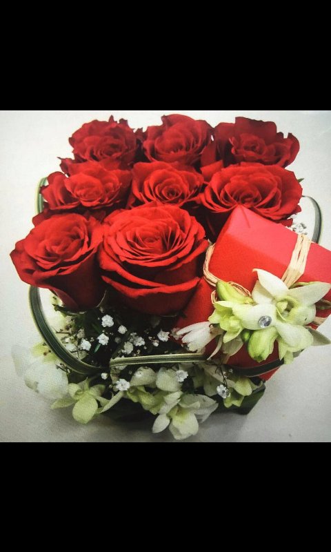 anasba_22's tweet photo. مبروك الف الف الف الف الف الف مبروك حساب مميز يستحق المتابعة #بعثره_قلم_60الف https://t.co/UXAycc6FIL