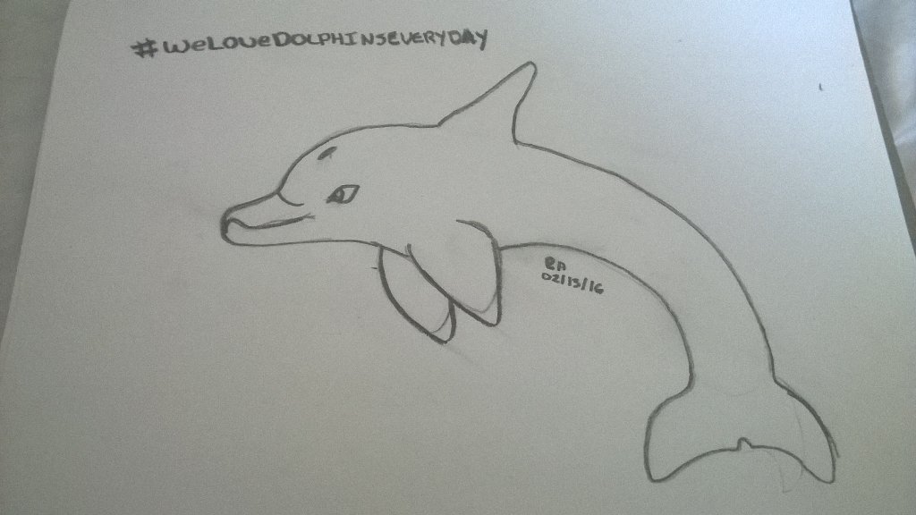 RachelAnda's tweet image. Drew something for  #WeLoveDolphinsEveryday 😃😊😉😁