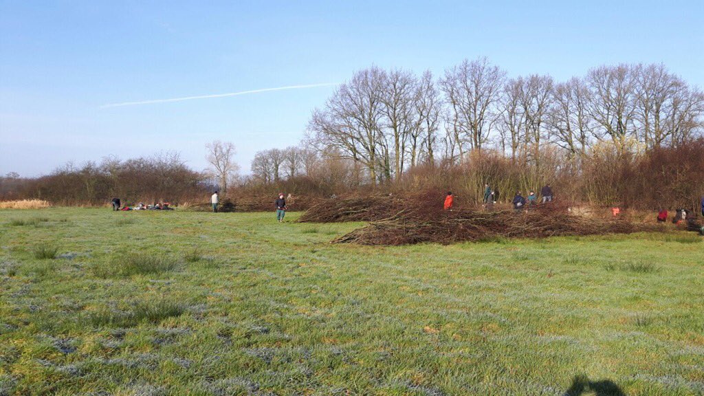 AntonHeuven's tweet photo. Met dertig pers. aan het werk.... genieten... Aamsveen EnHOe natuurwerkgroep bij Landschap Overijssel ...natuurlijk. https://t.co/h95JP2MwbA