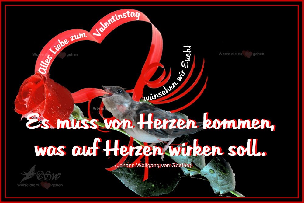 SwallowLife's tweet photo. Nicht vergessen, morgen ist Valentinstag! https://t.co/pSQmfjfomU