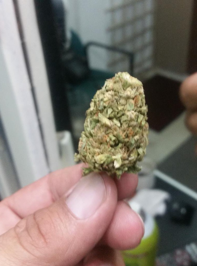 Mmmmmmmm