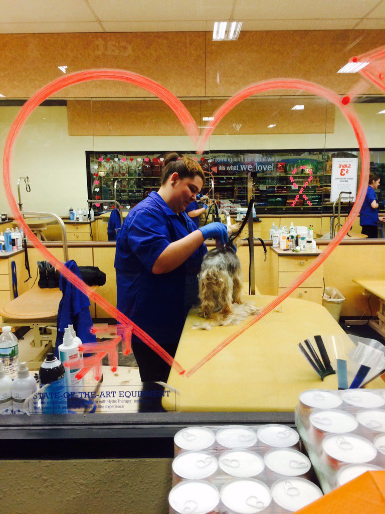 hdmuscle12's tweet photo. Grooming is in full swing this Valentines weekend. #luvyourpet@petsmart@1651 https://t.co/rYvSnkye7l