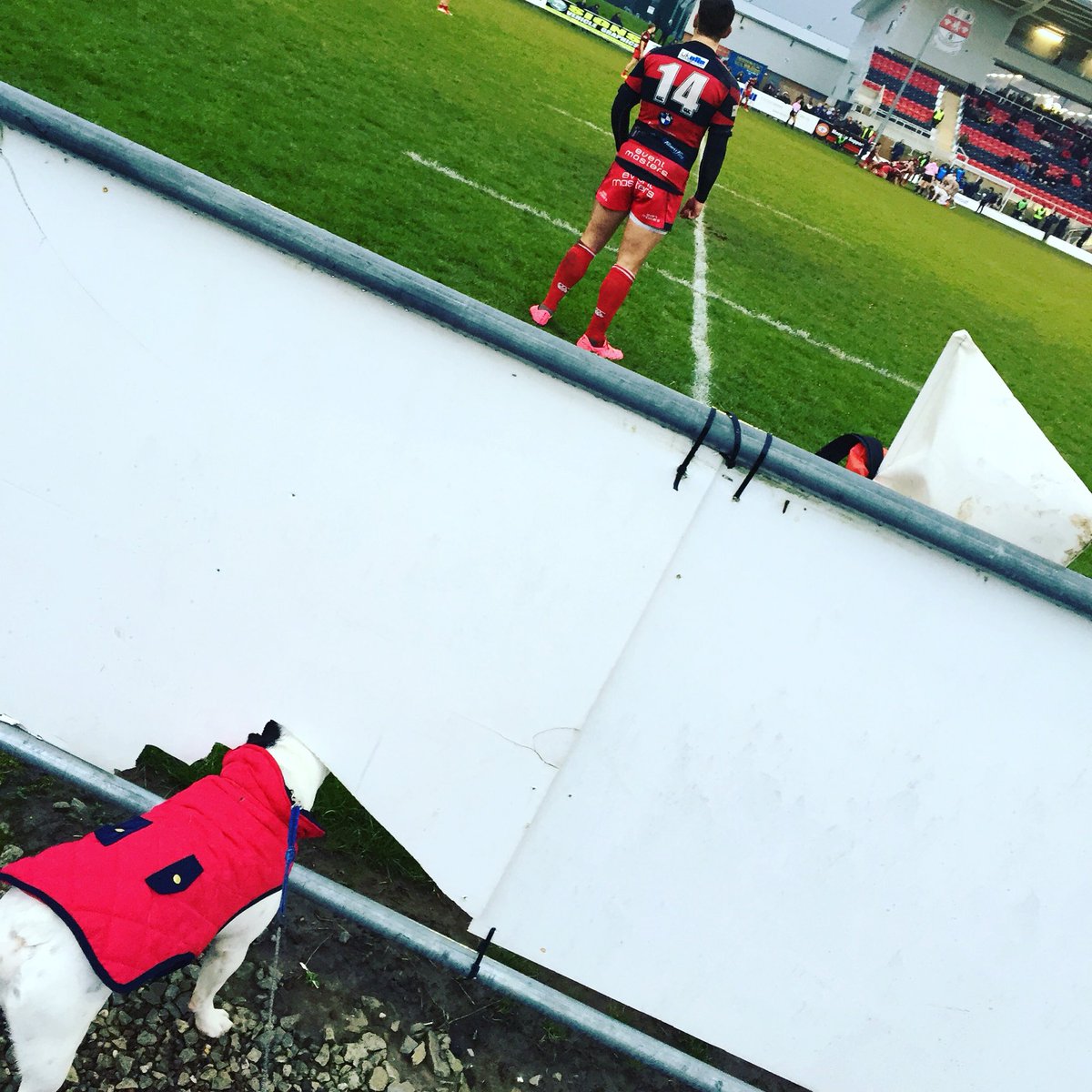 jess_stanier's tweet photo. @MoseleyRugbyFC when you are at the game, in your colours, itching to see the final score!! #ComeOnMoseley https://t.co/3TfxpYoM66