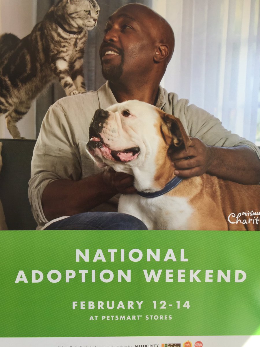 ches_squa's tweet photo. It's happening right meow! Come on in to meet some lovable and adoptable pets! #NAW #petsmart #ruffroadrescue https://t.co/kzjGtidIPa
