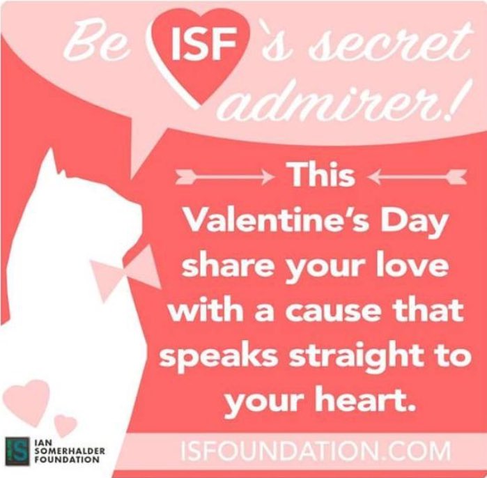 bonsi__'s tweet photo. Lets do this, are you in? @iansomerhalder @NikkiReed_I_Am @paulwesley RT for share! 🙈 https://t.co/Yhuvueltnj