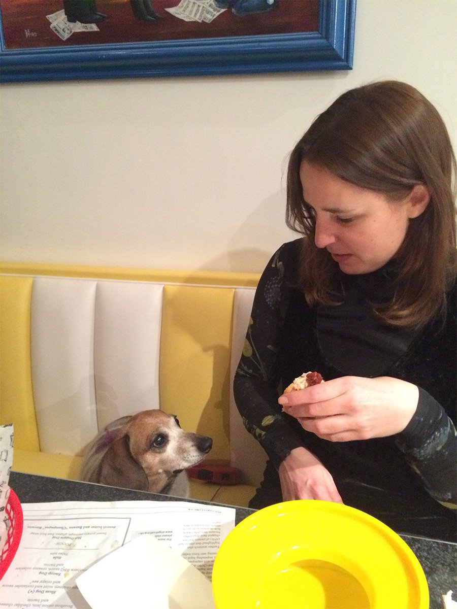 ELLEUK's tweet photo. Forget roses & romance - we have a better idea #microchippy @lovefoolforever @DogsTrust https://t.co/Lz7anqW9FD https://t.co/IXKPi9jUq0