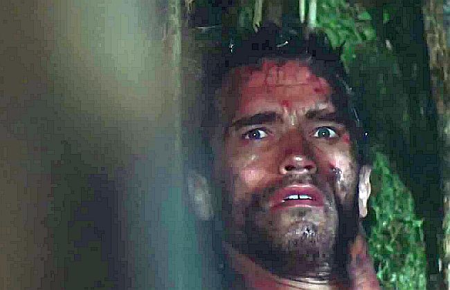 horroronscreen's tweet photo. The face of Schwarzenegger when he sees the Predator without his mask is priceless! https://t.co/fvfU9QeflW #horror https://t.co/r4V9598xW5