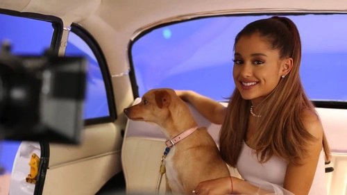 TeAmoAri2's tweet photo. #VoteArianaGrande #KCA Su sonrisa puede iluminar hasta la noche más oscura . ARIANA IS MY EVERYTHING https://t.co/fZXNdt8ztF