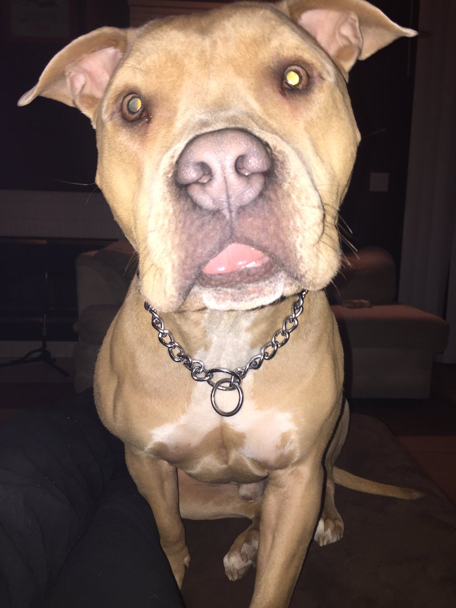 billyinzmoreyep's tweet photo. Fuck being friendly, say what's on your mind #hugoknows https://t.co/Wf10pMlLPV