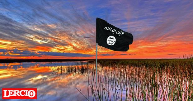 lercionotizie's tweet photo. #UltimOra, #Isis bonifica una palude e certi italiani iniziano a vederlo di buon occhio https://t.co/aSrxIUz9X1