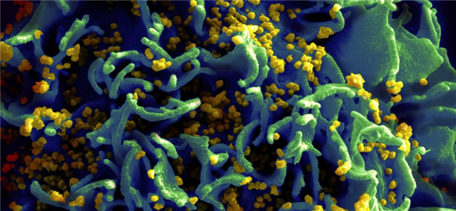 ADPJerry's tweet image. Your Behavior is Contagious To Employees #smallbiz bit.ly/1KMQWsH