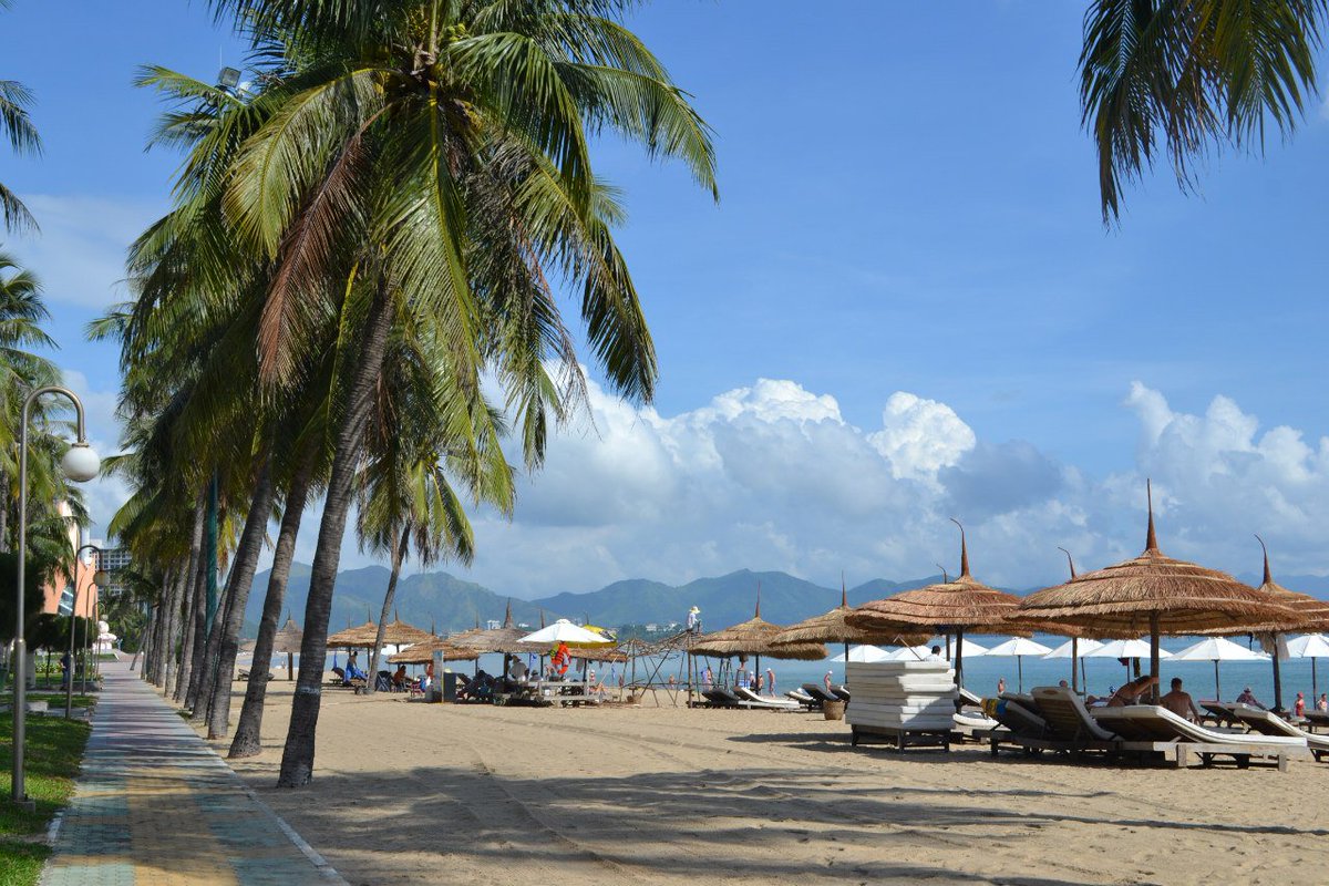 plicerla91's tweet image. #bookflightsonline travel agency