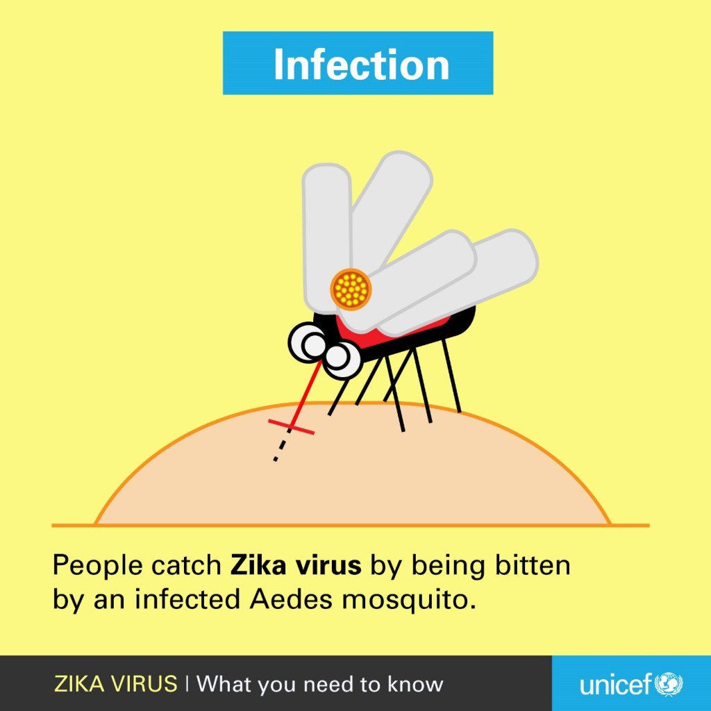 How do people catch #ZikaVirus? Here’s what you need to know: uni.cf/1RxnGb4