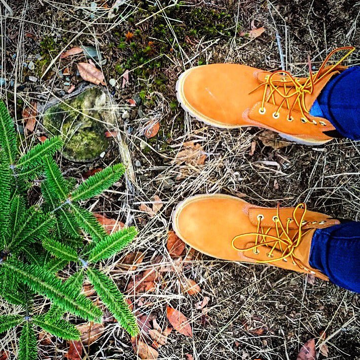 AnnieOntheRadio's tweet photo. Timb Time! #articblast #brickoutside #timberland 🌬💂🏻 https://t.co/x6WTbb8kbW