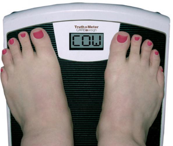 snkaran228's tweet photo. @GOQiiLife @divya_c1 #YouMeAndGOQii Telling her eating continuously has made her COW...Its time to get slimmer! https://t.co/XBjb05m3ga