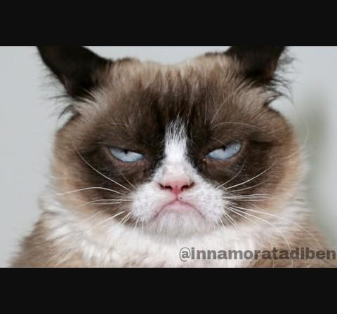 hisperfecthugs's tweet image. La faccia di Ben quando gli dicono che non diventerà mai un gatto😂
#SmerdaAncheTuBenjiConMe 🙈