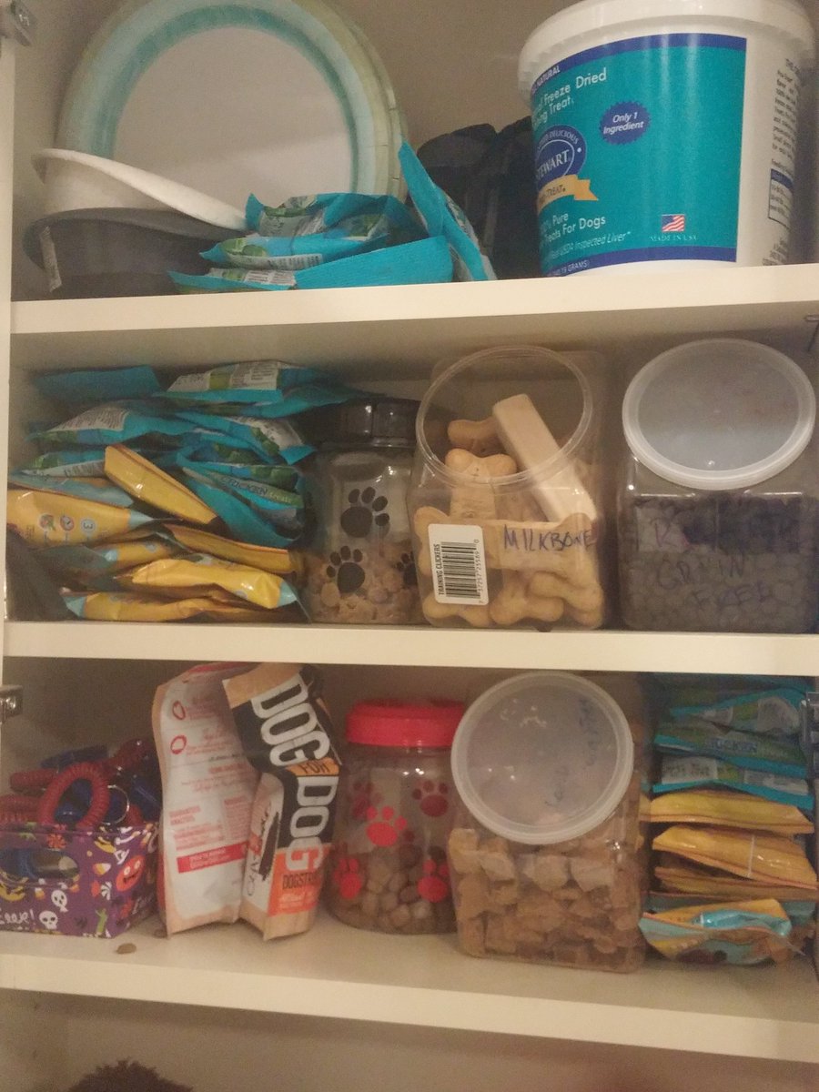 CaseyCatalyst's tweet photo. I don't think I have enough dog treats...#dogtrainerproblems https://t.co/8uIxkiR0ES