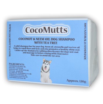 GoodVetPetGuide's tweet photo. .@CocoMuttsOil Coconut &amp; Neem Oil Natural #dogs Shampoo Bar will nourish the hair &amp; coat  https://t.co/8NVi2p7rve https://t.co/ALkROFtgw8
