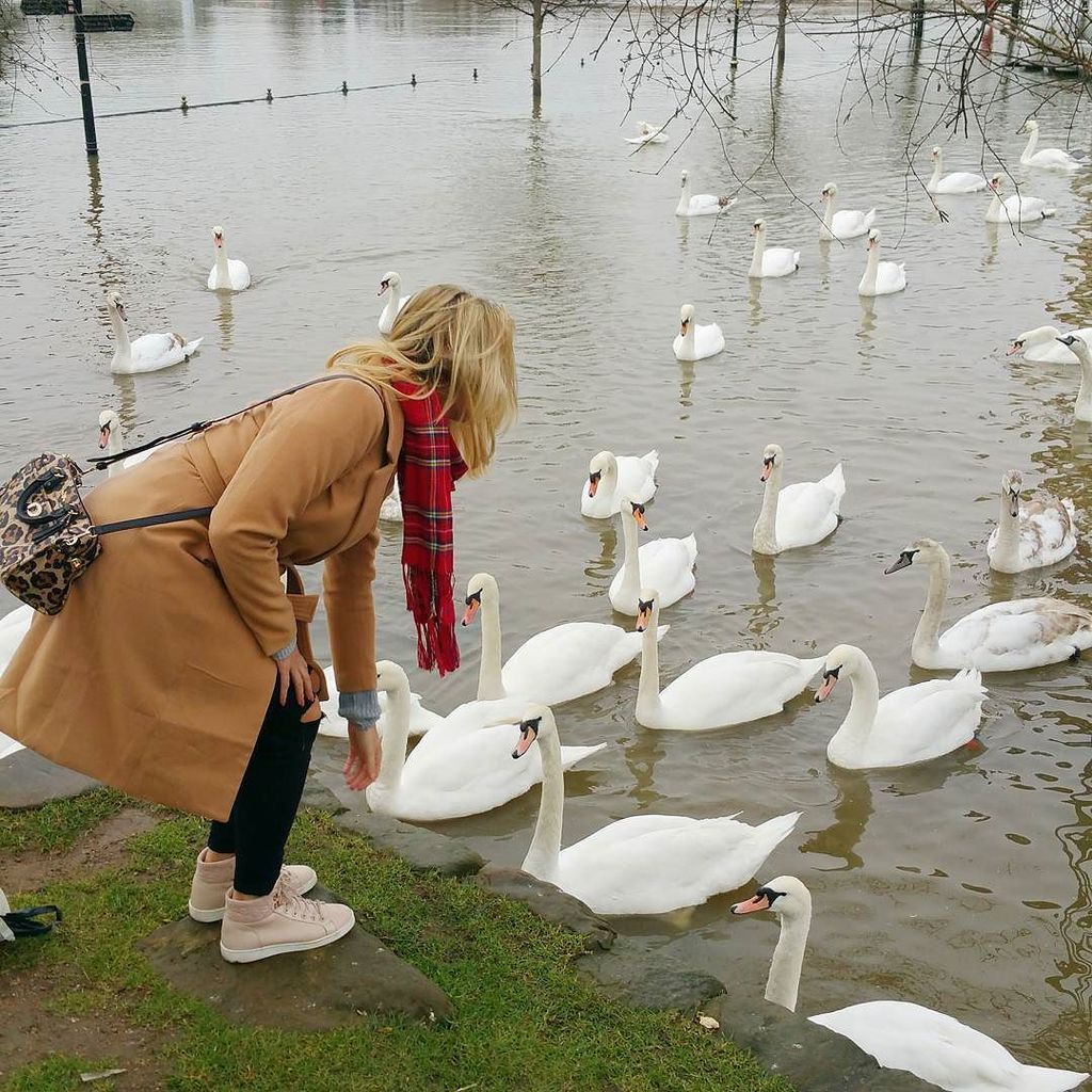 IAmMelWells's tweet photo. Making friends by the riverside 💕🐤 #weekendjaunts https://t.co/wuiPnENUoh https://t.co/pmEEmLXang