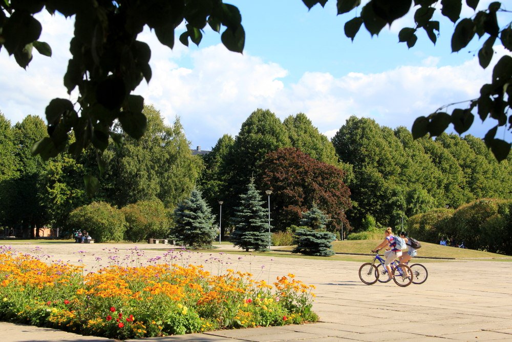 indiagat88's tweet image. #bookflightsonline book flights online