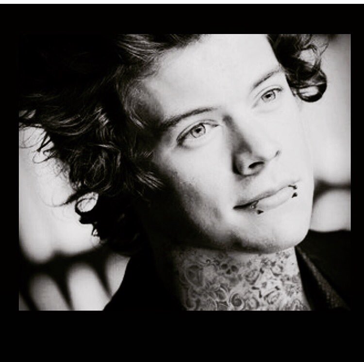 Hello I'm Edward. Daddy's here kittens. Rt.