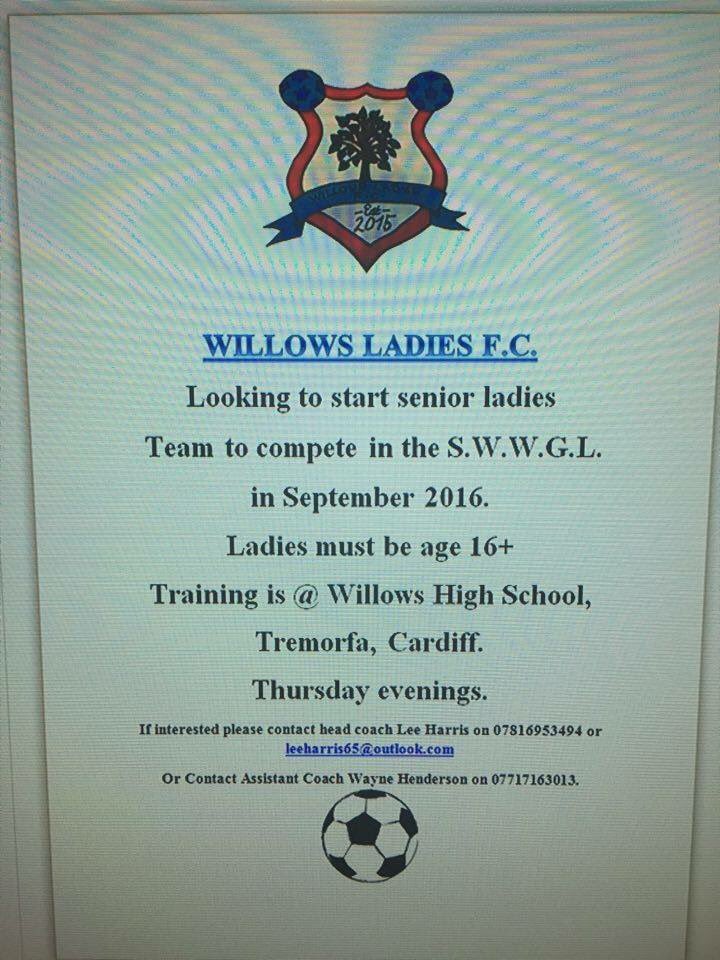 Willows Ladies FC tweet media