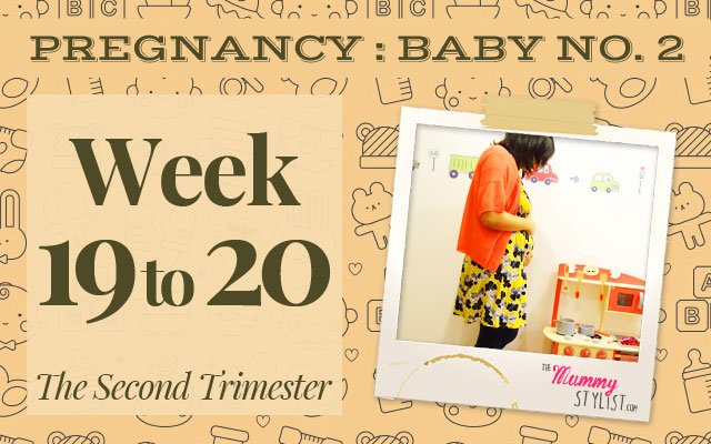 mummystylist's tweet photo. Week 19 to 20 #Pregnancy Update - Halfway through! https://t.co/s6LqnWRQ25 #pregnant #secondtrimester #expectbaby https://t.co/GKRGzXdXcX