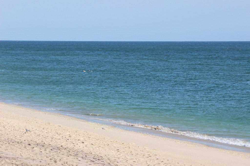 Melbourne Beach Surf Report Saturday February 13th melbournebeachsurf.com/2016/02/13/mel…