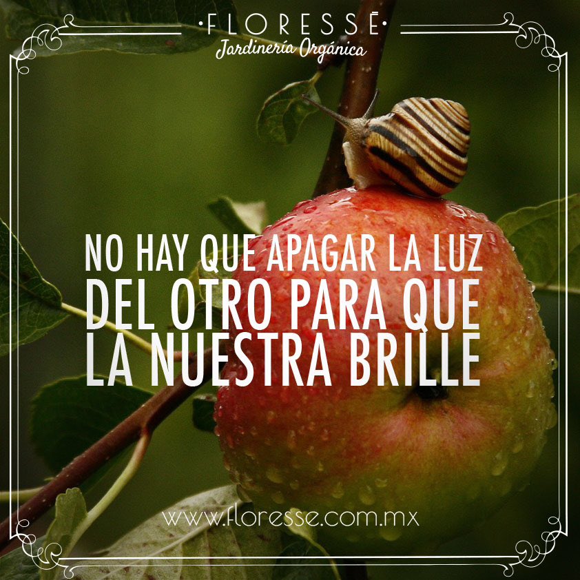FloresseMaria's tweet photo. Buenos días!! https://t.co/LWyIOgylsX