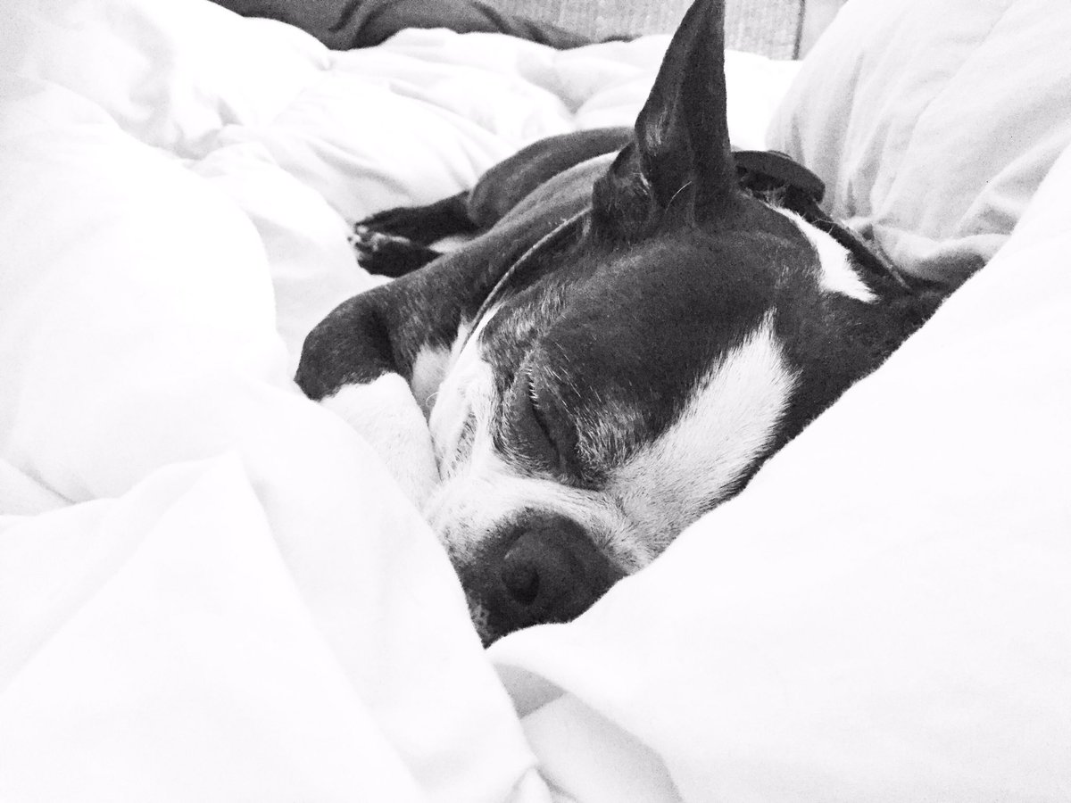My sleepy Valentine ❤️
