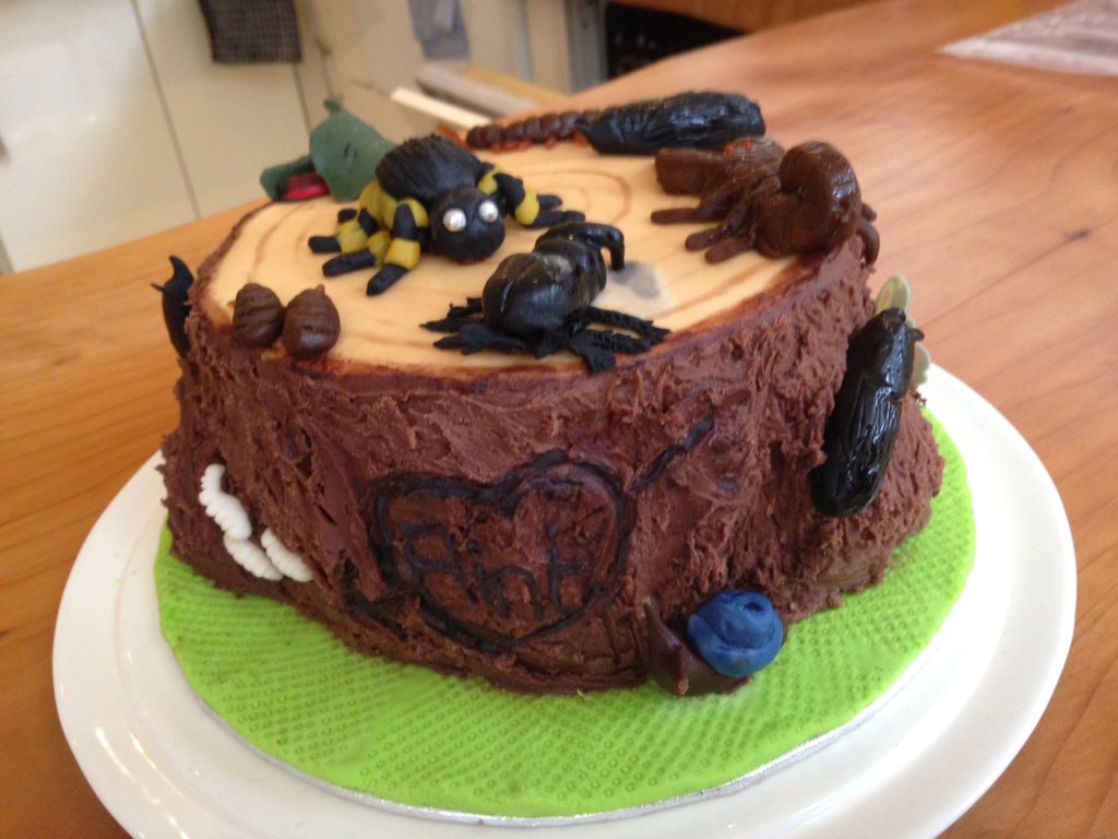 WigglyWildShow's tweet photo. Great #bugcake idea for a 6th birthday in #peckham - there's even larvae / maggots on it! https://t.co/mMq5IBAj0w