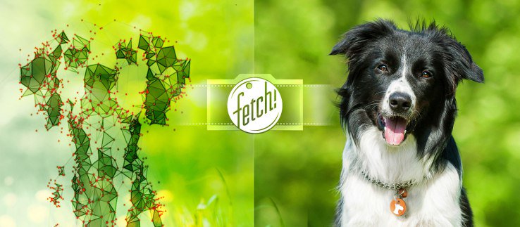 poochpal's tweet photo. Microsoft app #Fetch tells you what kind of dog you have https://t.co/ekvHpwuRJ5 #pettech https://t.co/EzKhPtTIUf