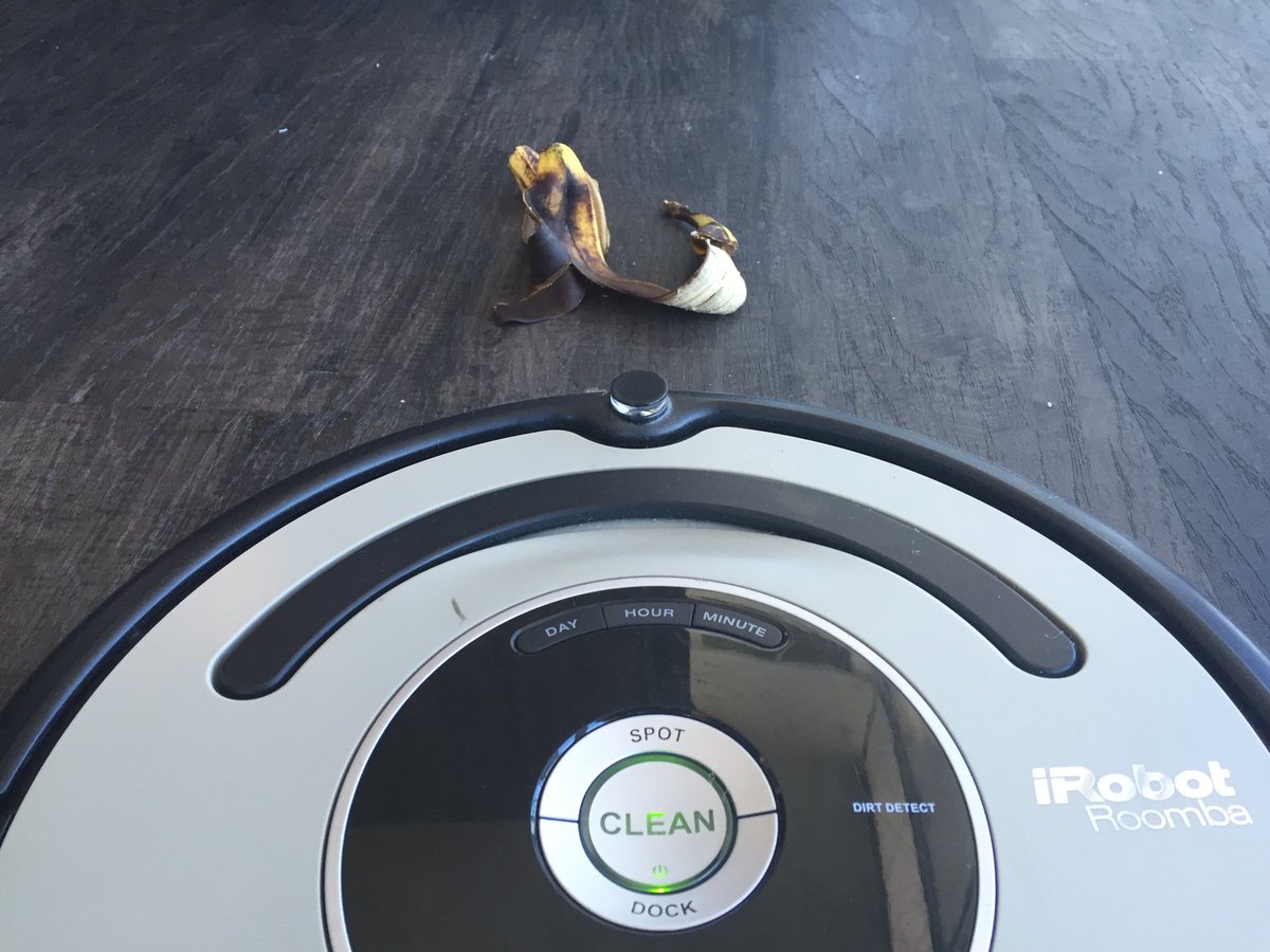 RooTheRoomba's tweet photo. Jesus Christ.  Is he serious?  #RoombaProblems #JonLikesBananas https://t.co/YKn2xB1LVA