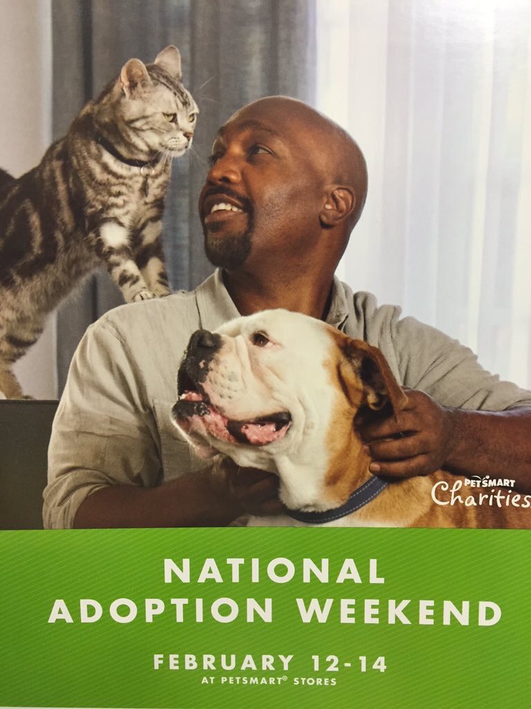 KurtD_Salons's tweet photo. Retweet if you have an adopted fur baby in your family!#adoptlove https://t.co/xj4biFCNBu