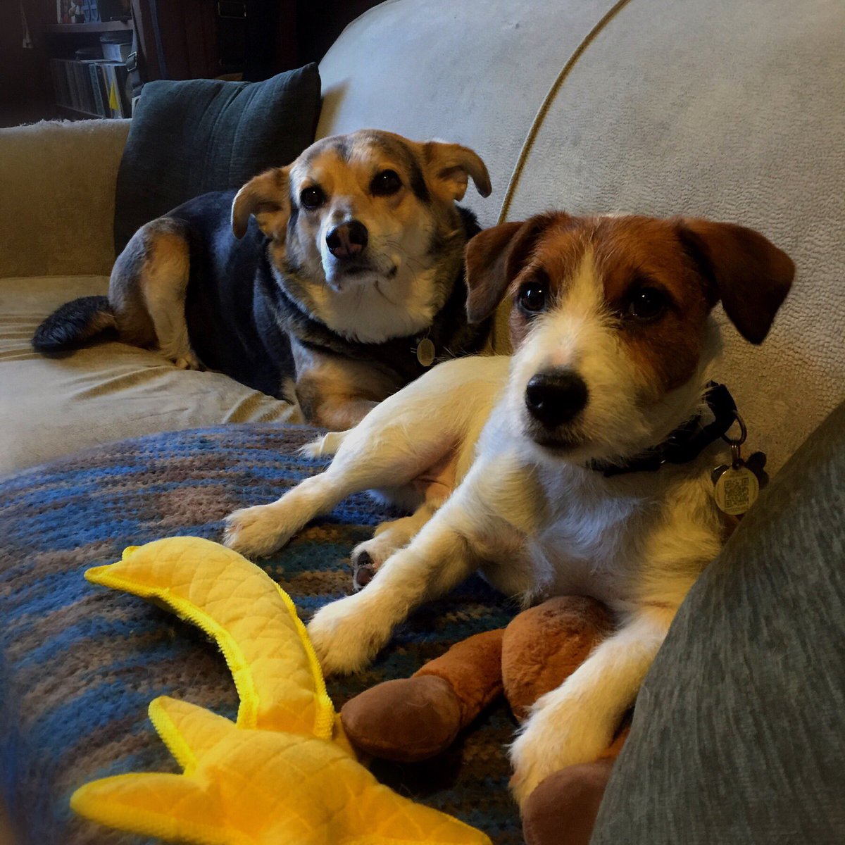 d_phrase's tweet photo. #NoColdPets at my place today 😏 https://t.co/BtuExUxeuc