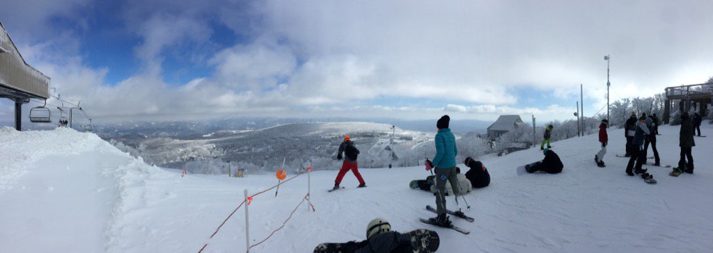 TaylorBreeding's tweet image. 