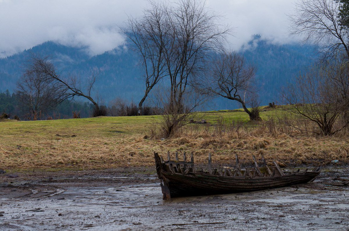 roenewwa88's tweet image. #flightsonline best place to buy airline tickets