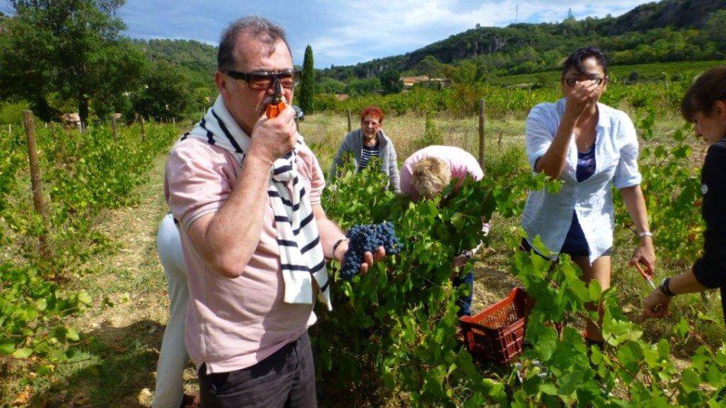 JMGauffre's tweet photo. Fancy a wine holiday Peut-être - https://t.co/SGbLpGISCx https://t.co/dqud1ZnP2J
