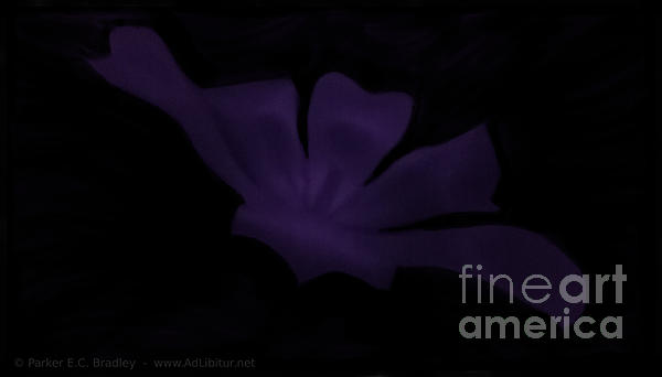 AdLibitur2012's tweet photo. New artwork for sale! - "IR 950 Tulip 1" - https://t.co/xkBlNBNC1t @fineartamerica https://t.co/xjE2eeq21Z