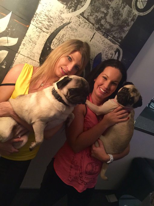 M&ouml;pse sind einfach das beste 💋 #Parkplatzluder19 #SweetMelli #MichaIntim  #m&ouml;ppse https://t.co/APljc<a href="/tag/parkplatzluder19"class="tags">#Parkplatzluder19</a><a href="/tag/sweetmelli"class="tags"><span>#sweetmelli</span></a><a href="/tag/michaintim"class="tags"><span>#michaintim</span></a><a href="/tag/m%C3%B6ppse"class="tags"><span>#m&ouml;ppse</span></a>