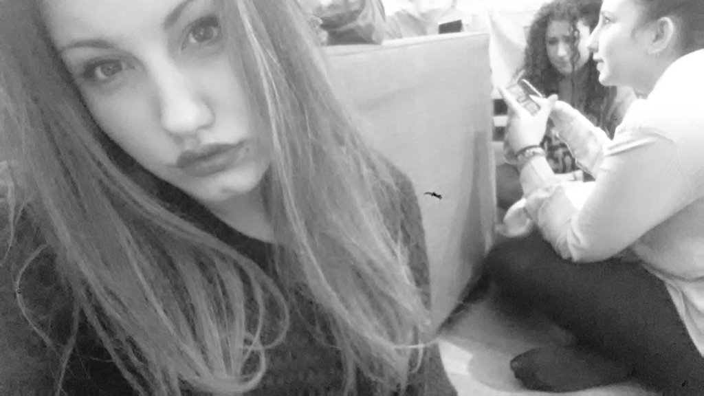 siniveronica1 tweet picture