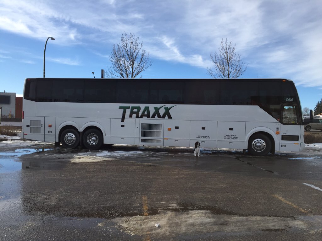 radams39's tweet photo. Traxx with her own bus. https://t.co/MKbnZLdUMw