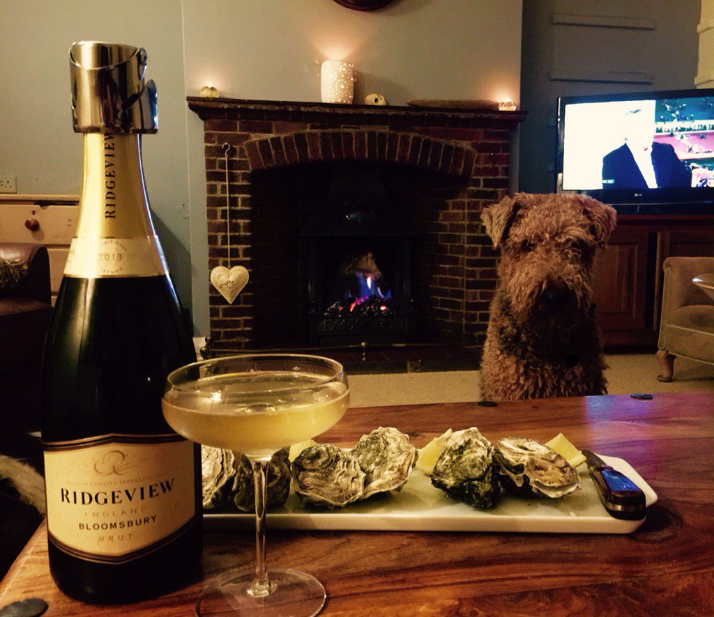 Oysters and @RidgeviewWineUK after a South Downs rainy walk with the dogs #perfectweekend #everydayisvalentinesday