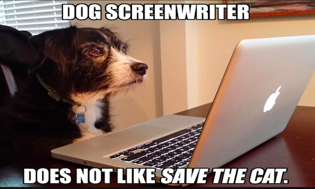 PAGEawards's tweet photo. Ouch!

#screenwriting #writing #writingtips #dogs #amwriting #saturday https://t.co/fkebiCnTci