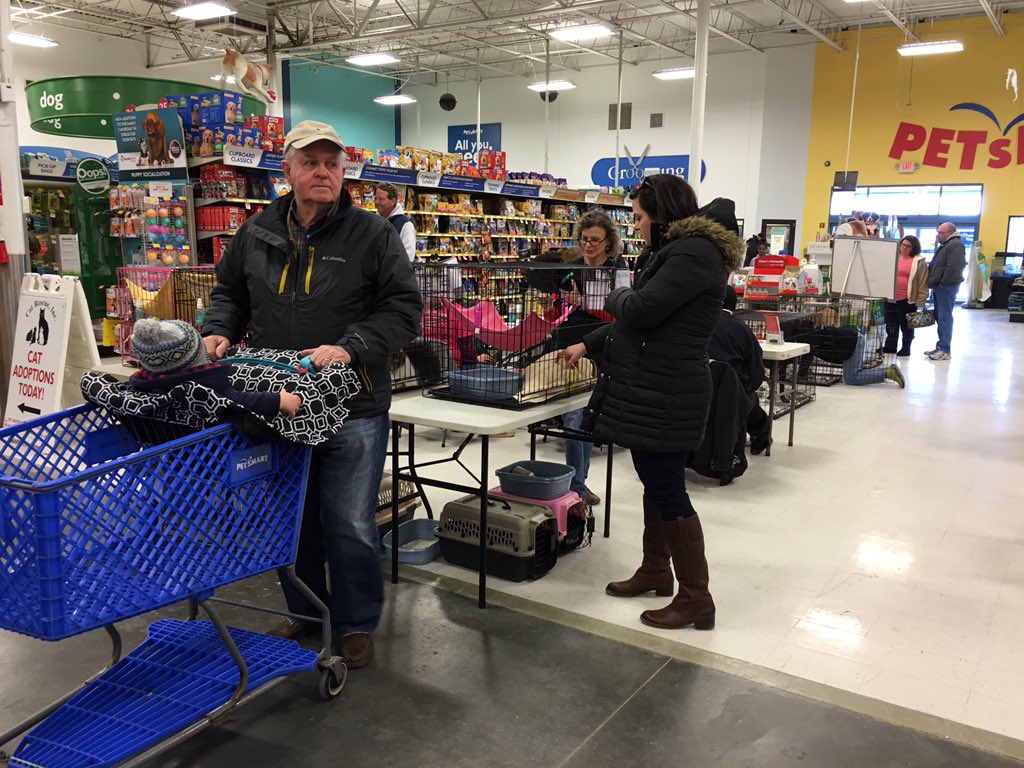 HollyForrest3's tweet photo. Can join us for National Adoption Weekend at your Greenbrier Petmart @Petsmart0668 https://t.co/OaLObMeYX5