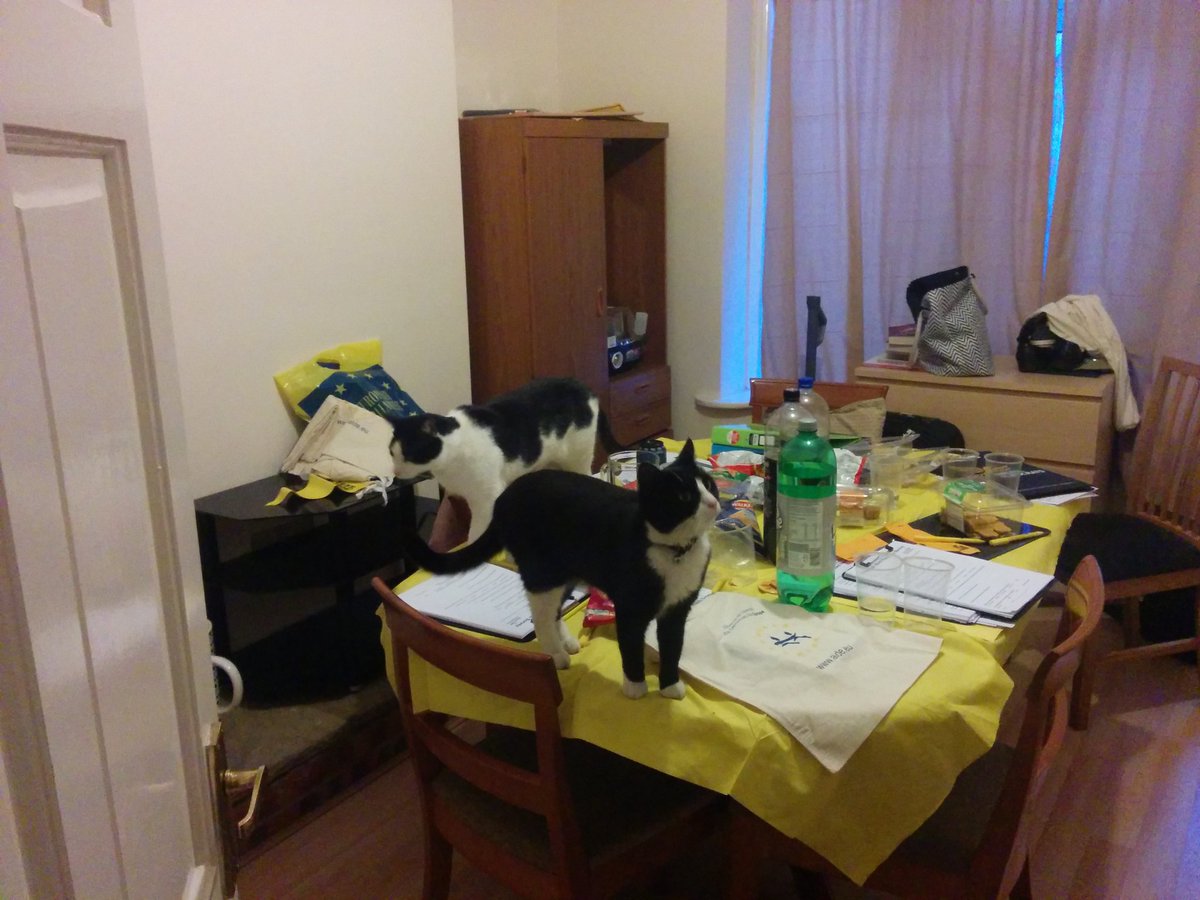 georgewpotter's tweet image. #LiberalDemocats