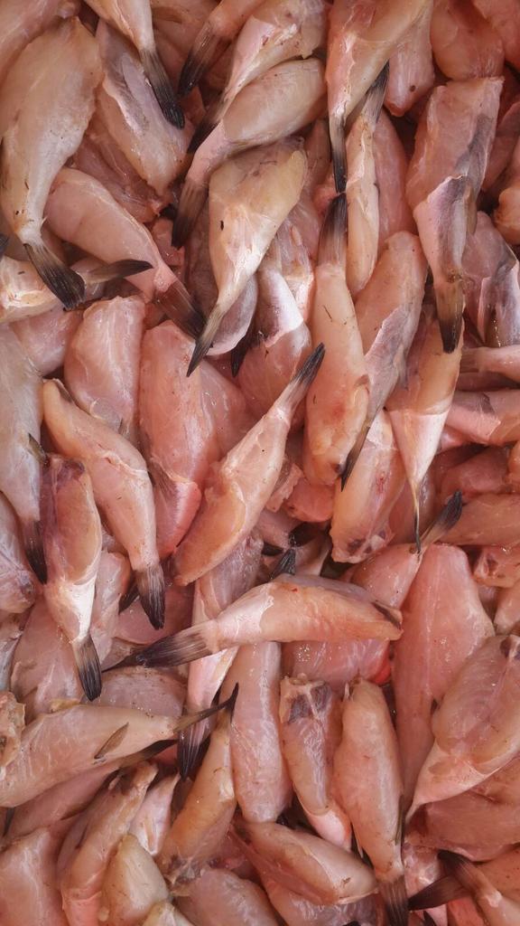 APsimonplanas's tweet photo. Jornada venta d productos del mar en La Miel ...apoyamos a palear la escasez d alimentos #somosprogresismo https://t.co/ybnIn7by2A