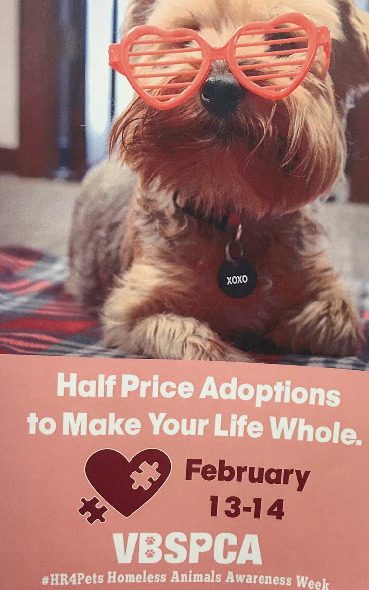 1171Petsmart's tweet photo. Come adopt 11-4 this weekend w/@vbspca and PetSmart. 4421 Virginia Beach Blvd 🐶😻 #adopt https://t.co/gfKGALMNub